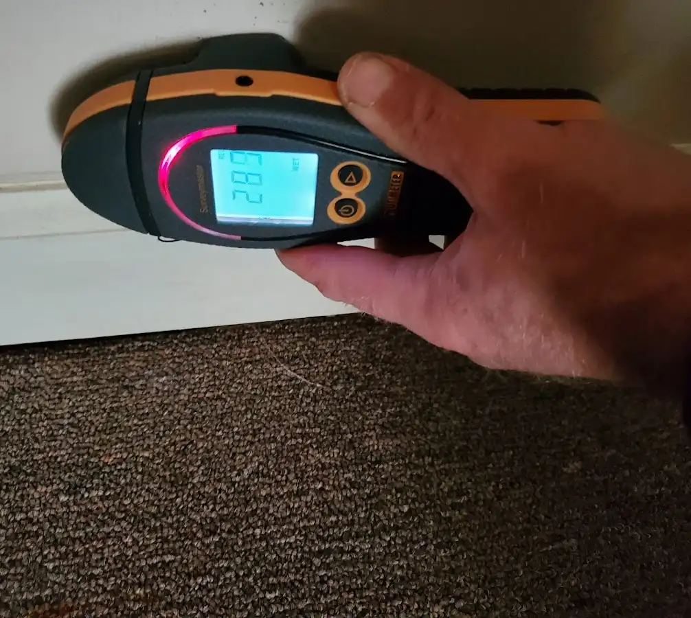 Moisture detection at baseboard during Sewage Cleanup & Sanitation in Eudora